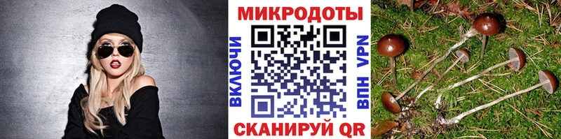 Купить где  Губаха  Галлюциногенные грибы мухоморы 